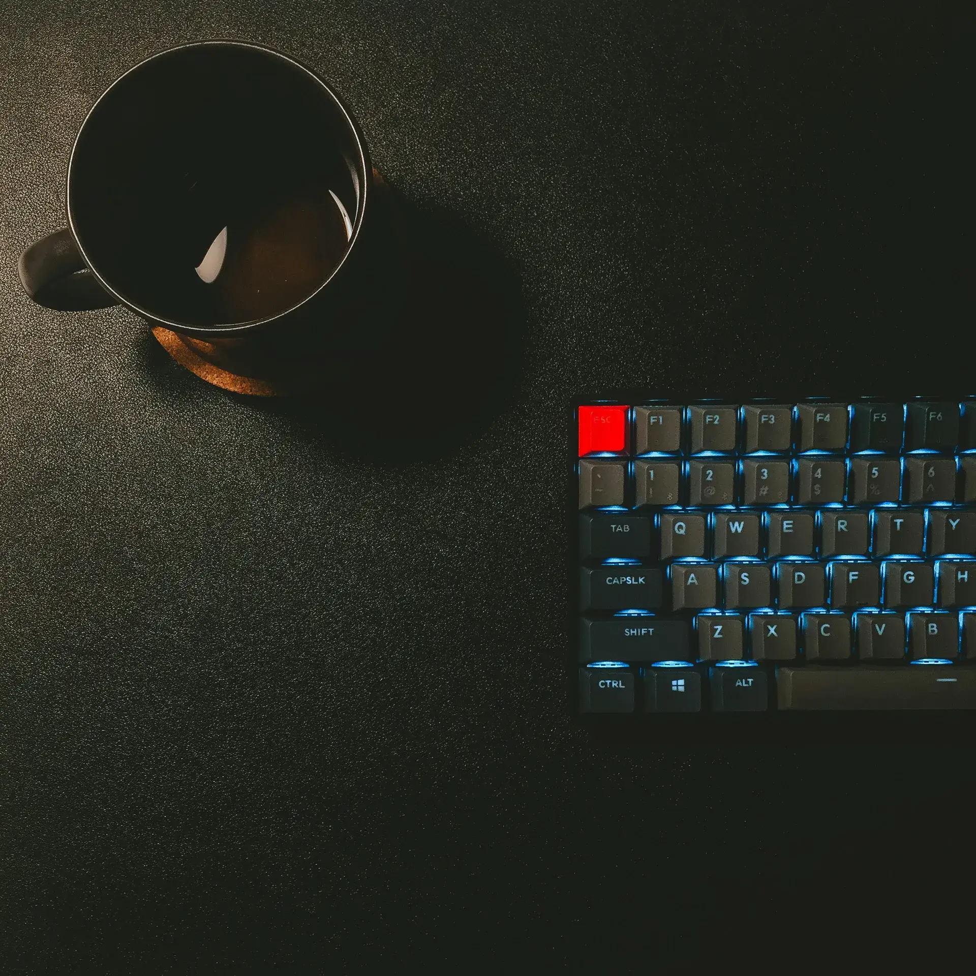 Technology Studio